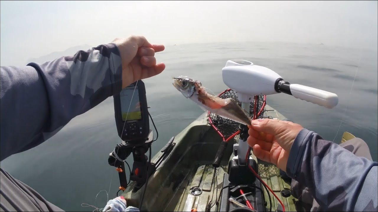 Pesca en kayak al vivo en Cádiz (Estrecho de Gibraltar)