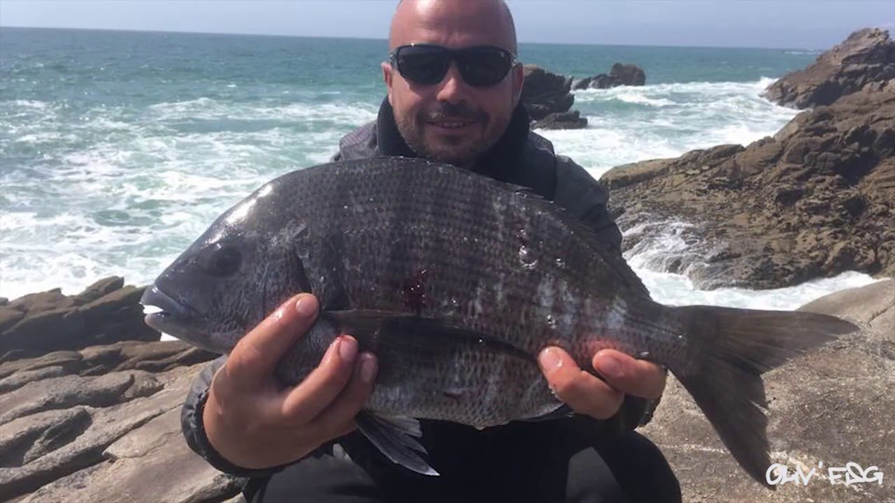 Peche du Sar en ISO fishing &agrave; Quiberon