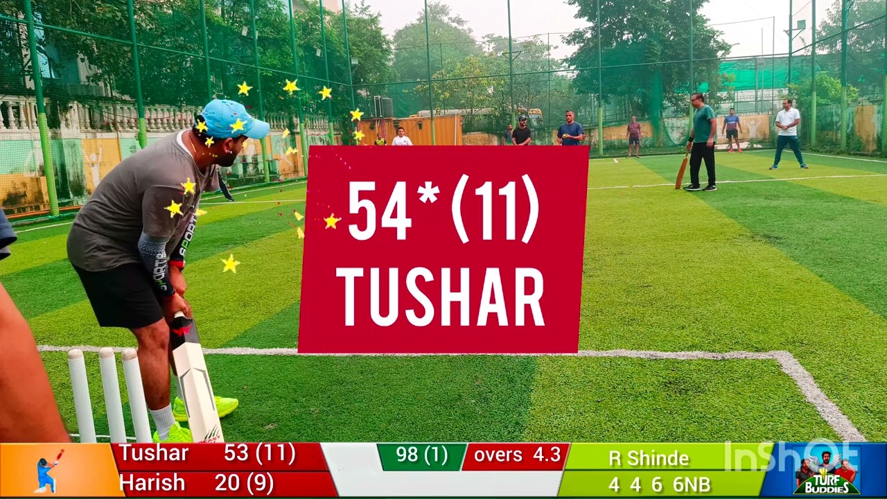 TURF CRICKET: The Ultimate Game of Skill and Precision