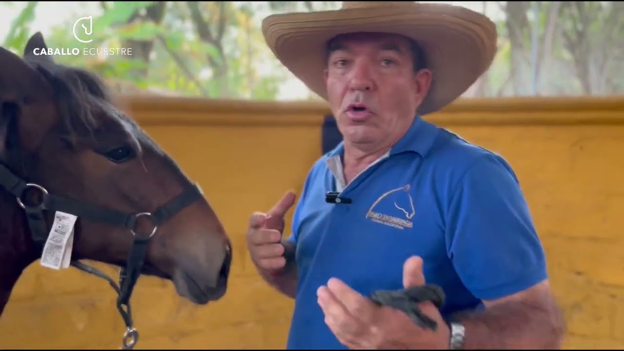 Entrenamiento de potros destetos  🐴👌 Pista de obstáculos