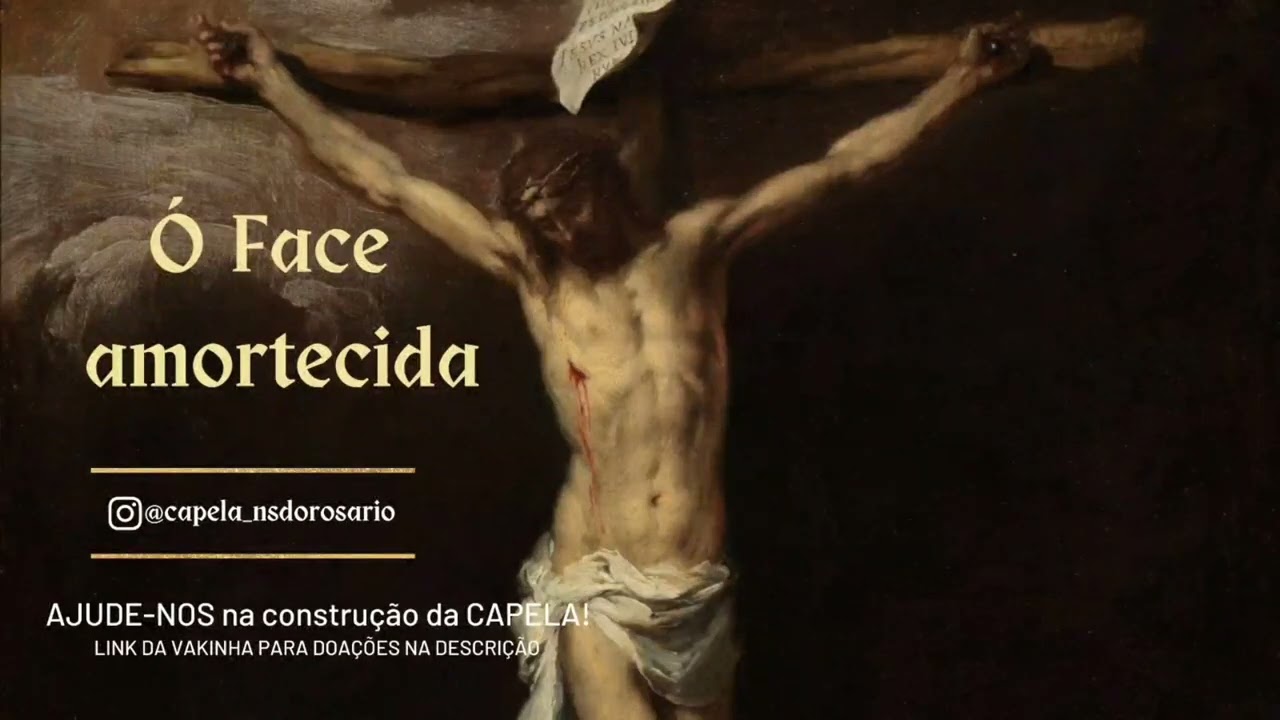 Ó Face Amortecida