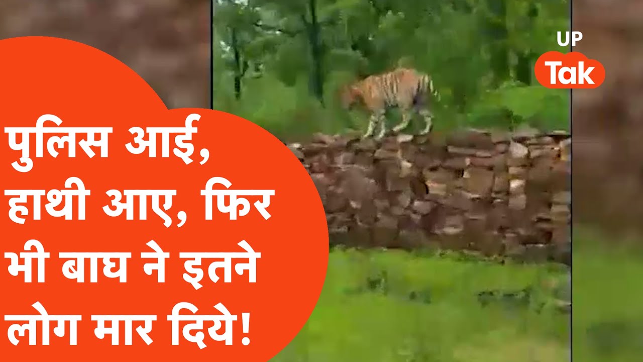 Pilibhit News Viral: 