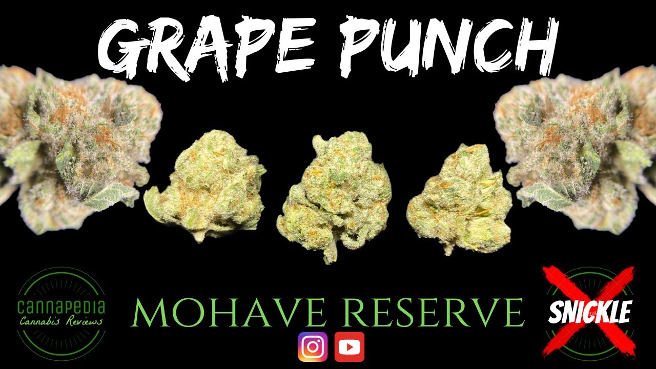 Grape Punch Strain Review - Mohave Reserve - Cannapedia