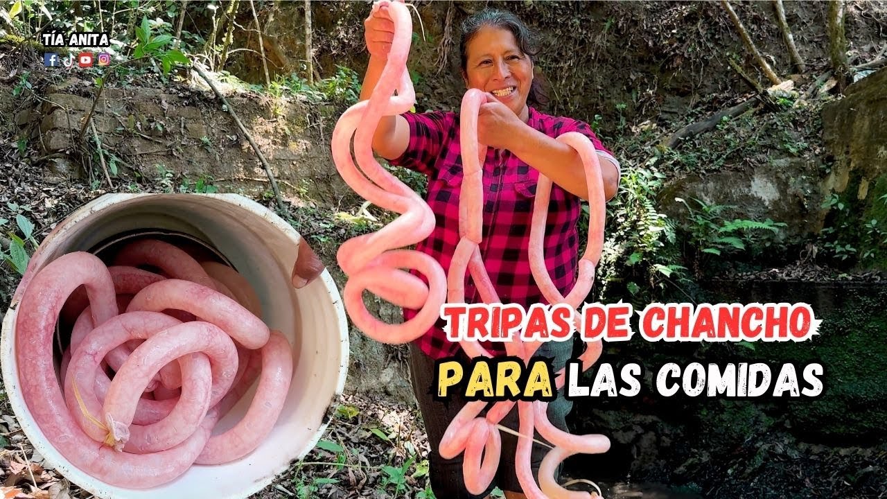 De estas tripas hediondas salen unas ricas comidas.Lavando menudo de chancho en un chorro.