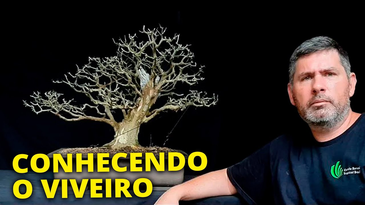 VISITANDO O VIVEIRO DE HUMBERTO DELLATORRE!!!