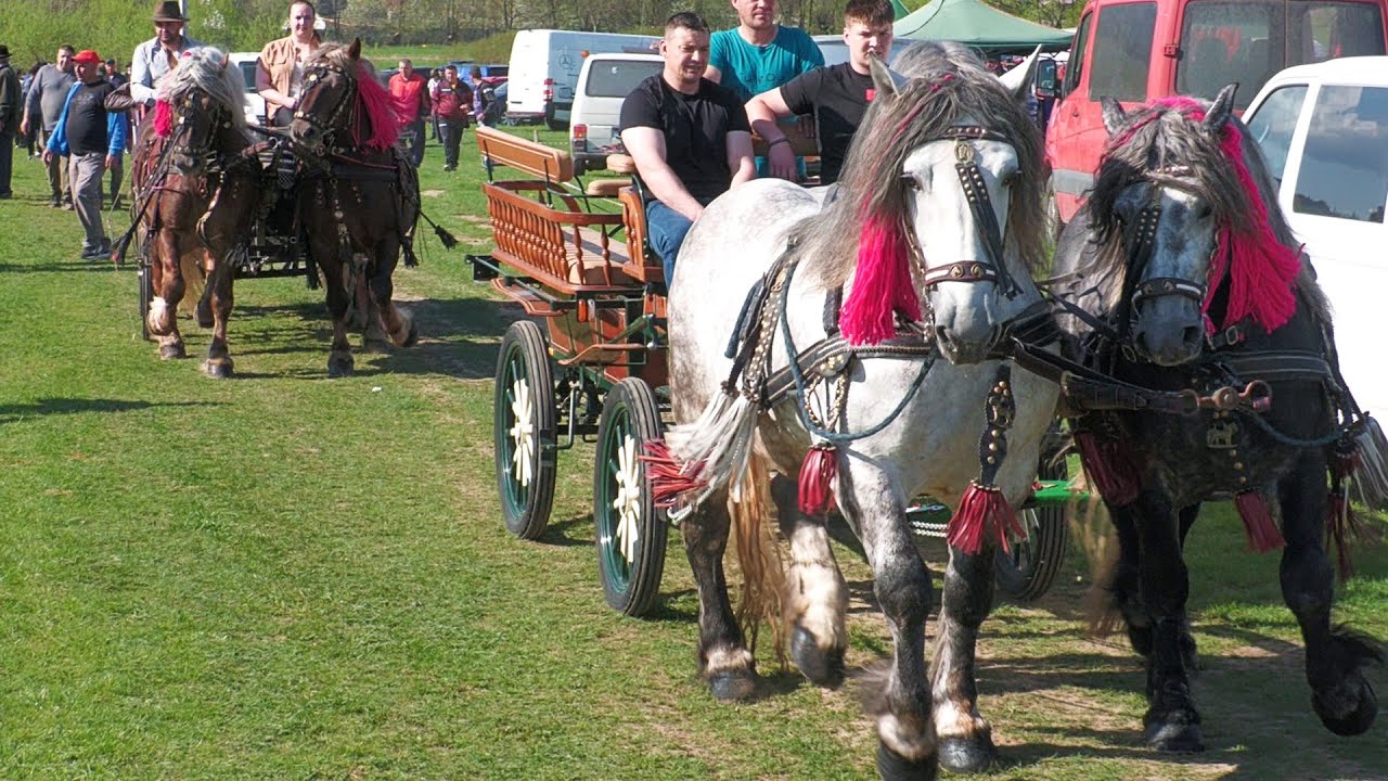Târg expoziţional de cai Gura Putnei - Bucovina 23 Aprilie 2025 ep.2