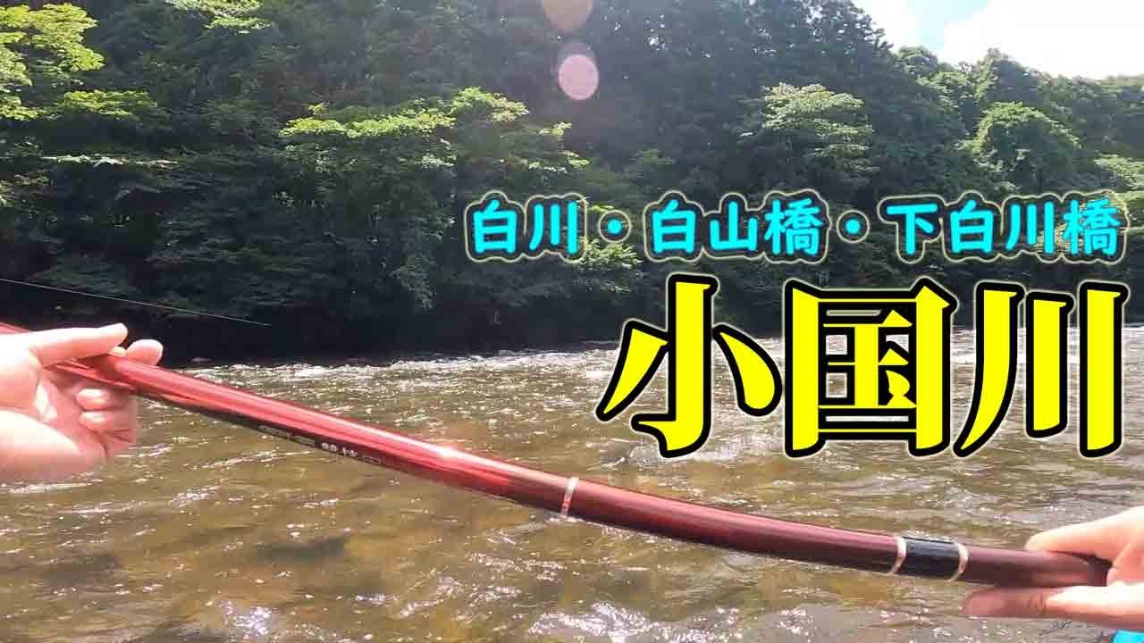 【鮎釣り】もうすぐ梅雨明け、これからが楽しみ小国川。『2023年7月13日釣行』