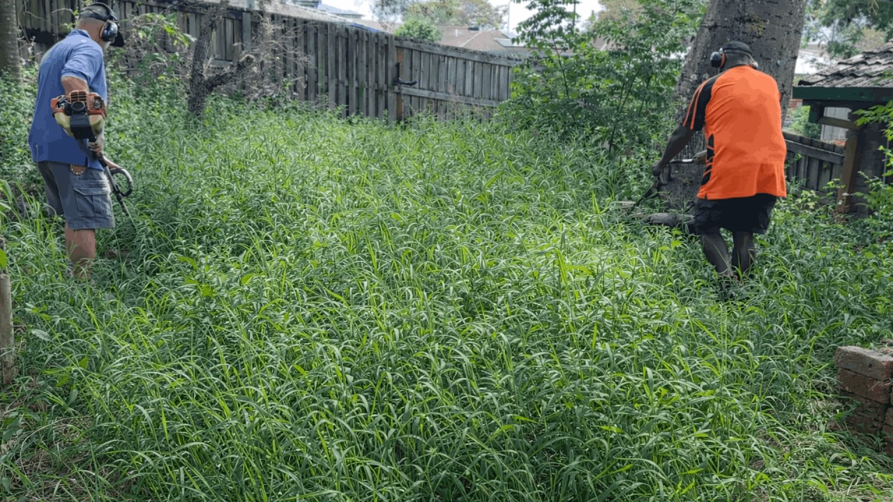 New tenants were TOO SCARED to go into their OVERGROWN backyard