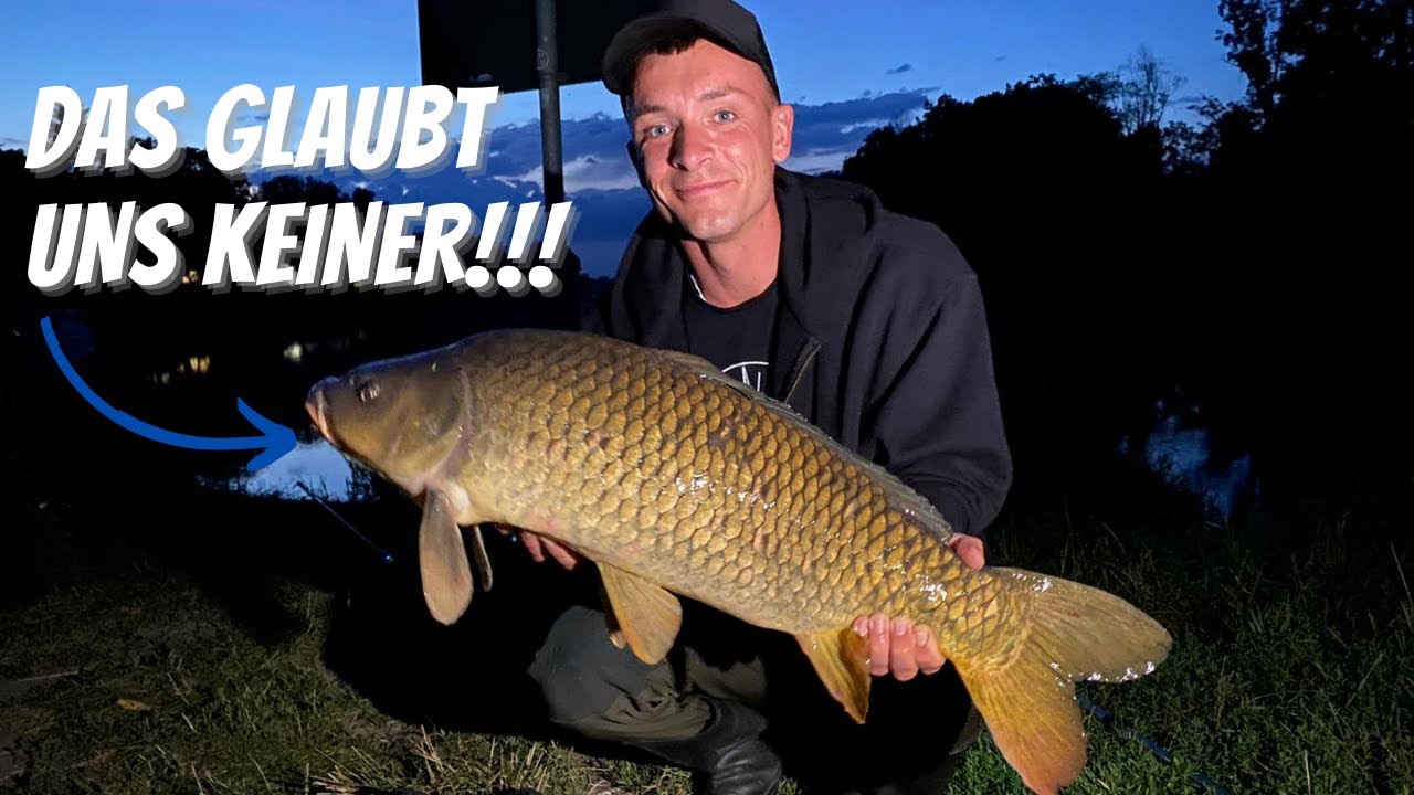 Flusskarpfen auf Köderfisch 🤯!
