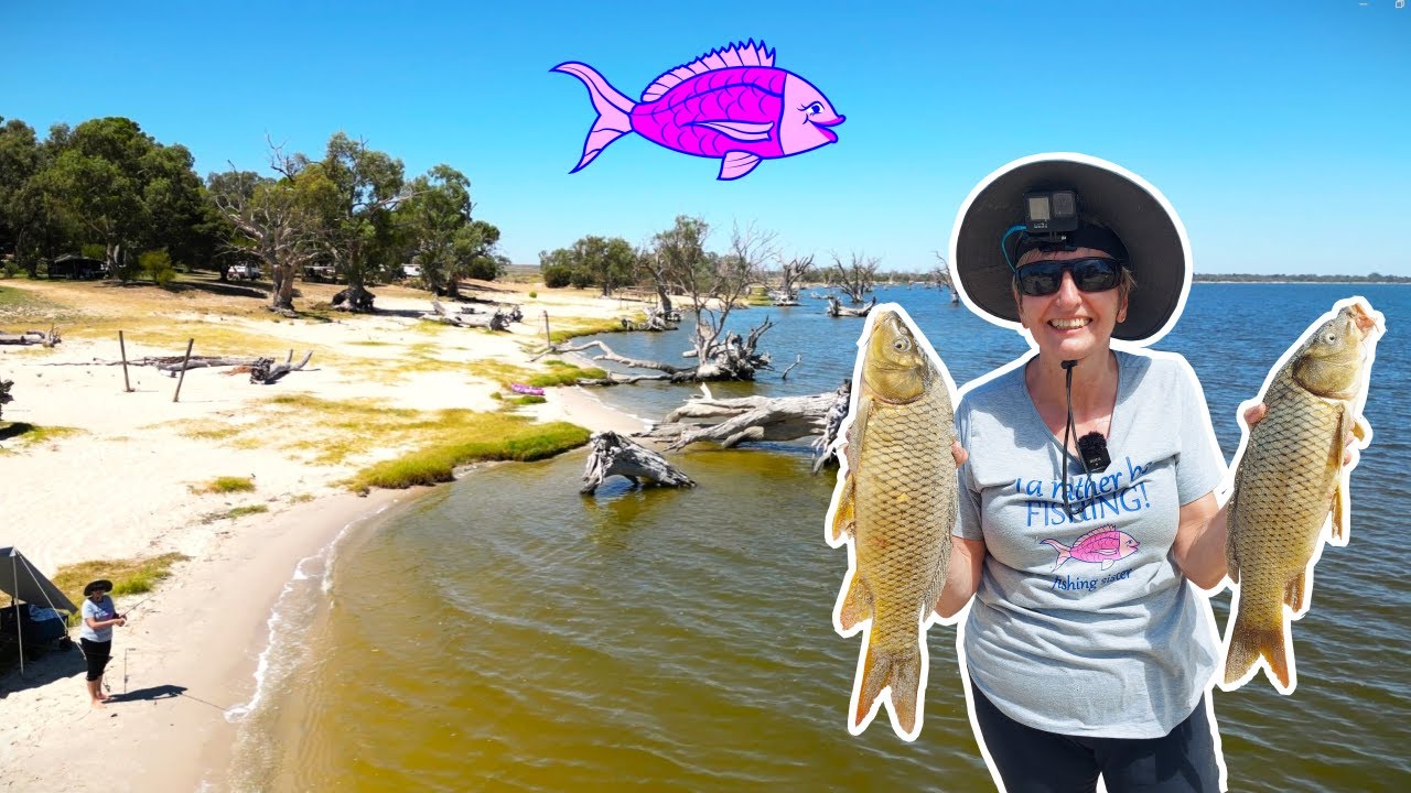 SA Carp Frenzy - Fishing Lake Bonney Barmera South Australia