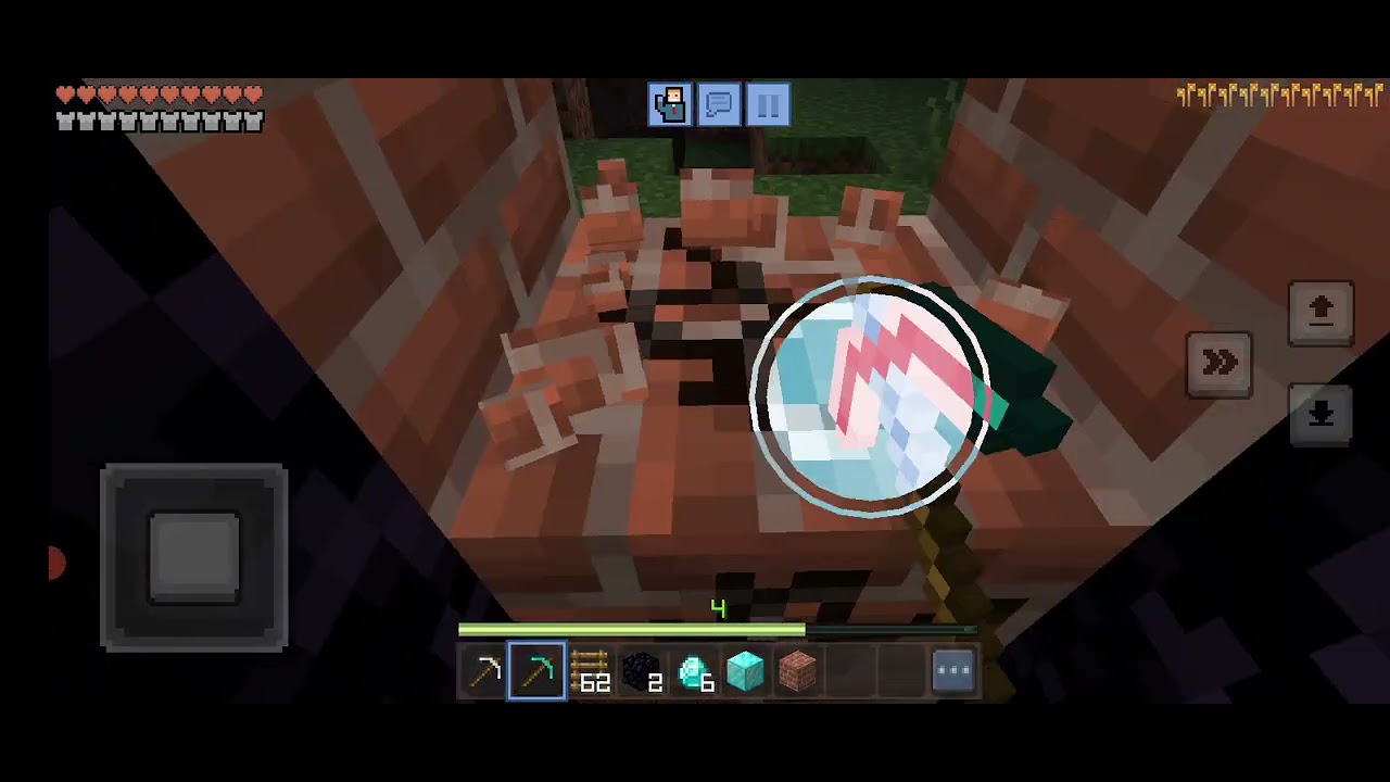 MİNECRAFT HAPİS 