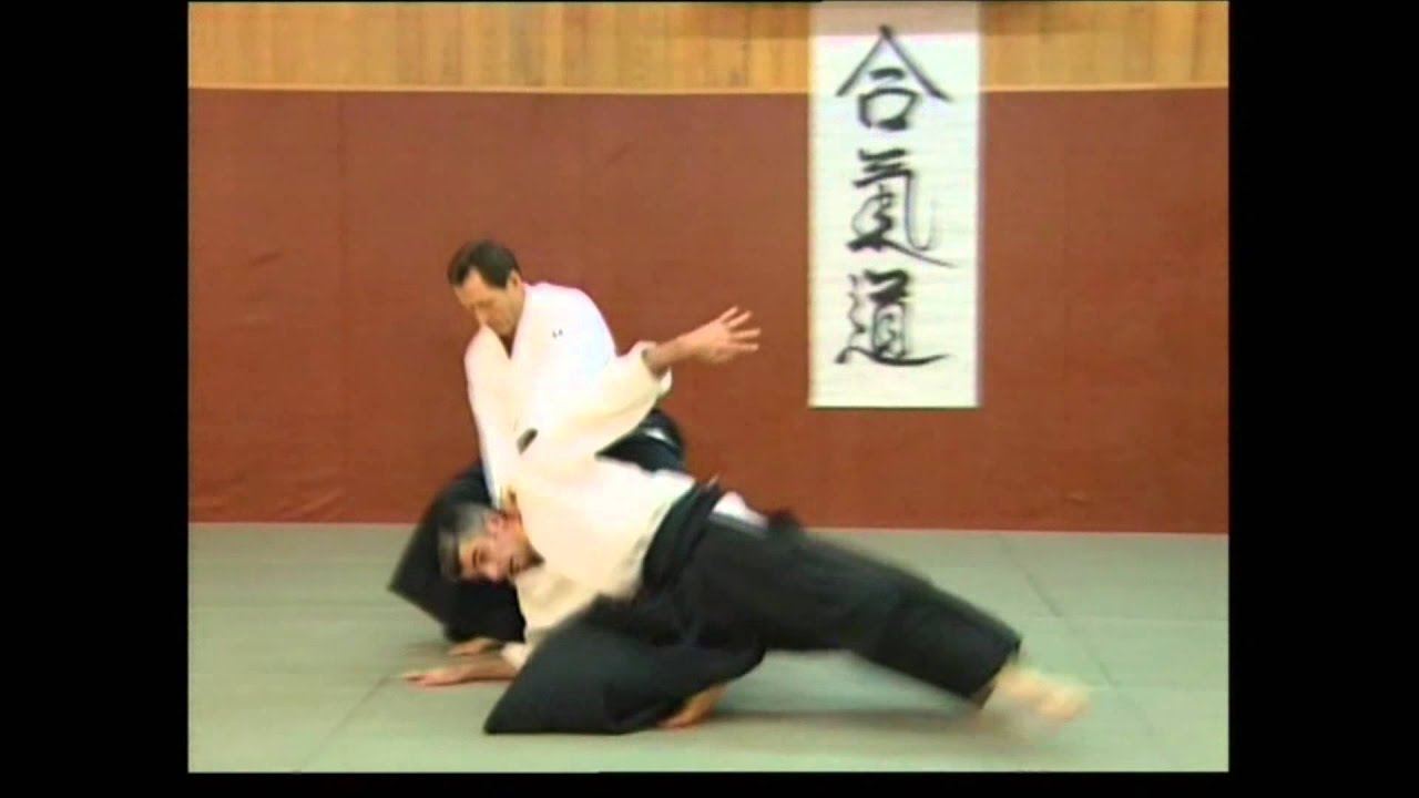 Aikido - Irimi nage