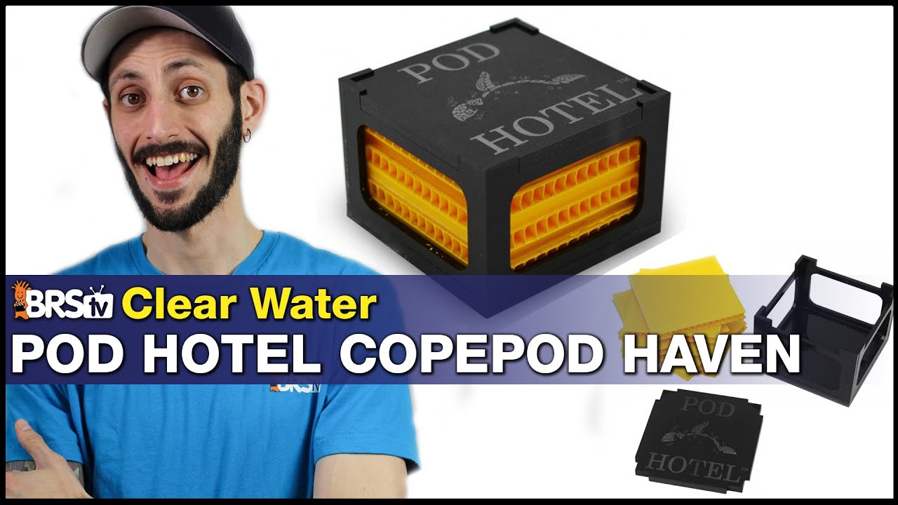 Do your copepods need a home? Give them a Hotel! Clear Water Pod Hotel Copepod Haven
