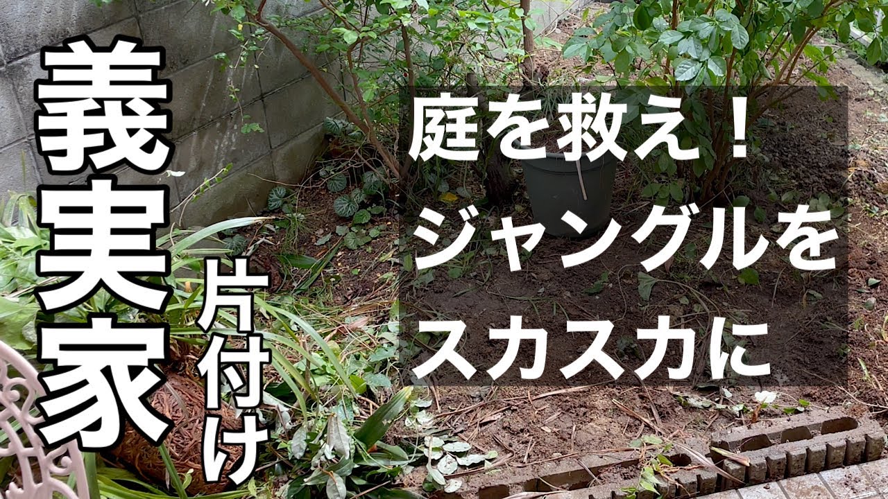 【義実家の片付け】庭じまい準備/長年放置の荒れ果てたジャングル庭がスッカスカ庭へ
