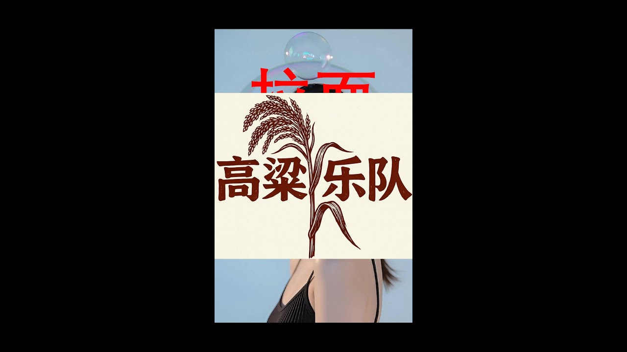 拉面 西安风味 高粱
