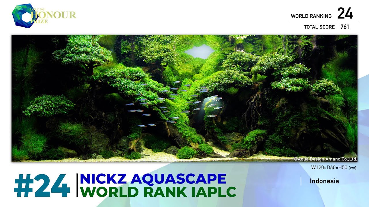 RANKED 24 th of OUT OF 2.617 PARTICIPANTS OF 