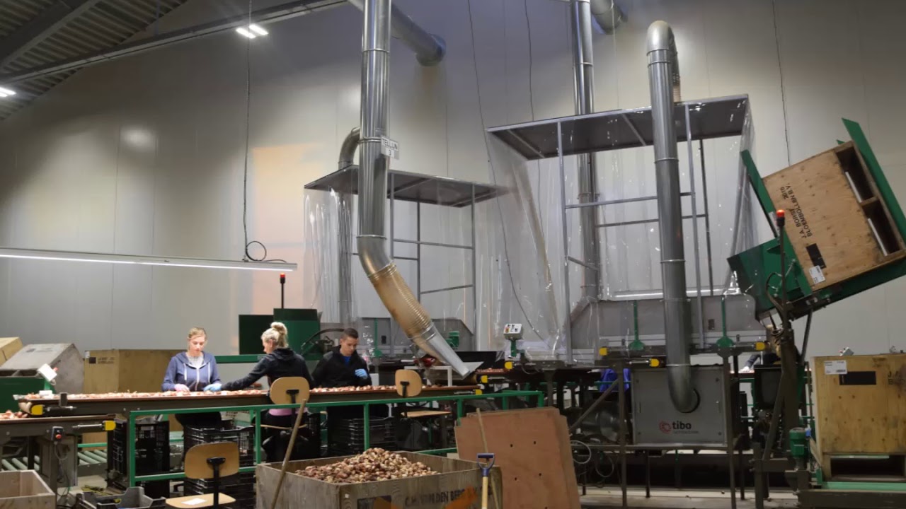 Zuurscheider / Windshifing systeem
