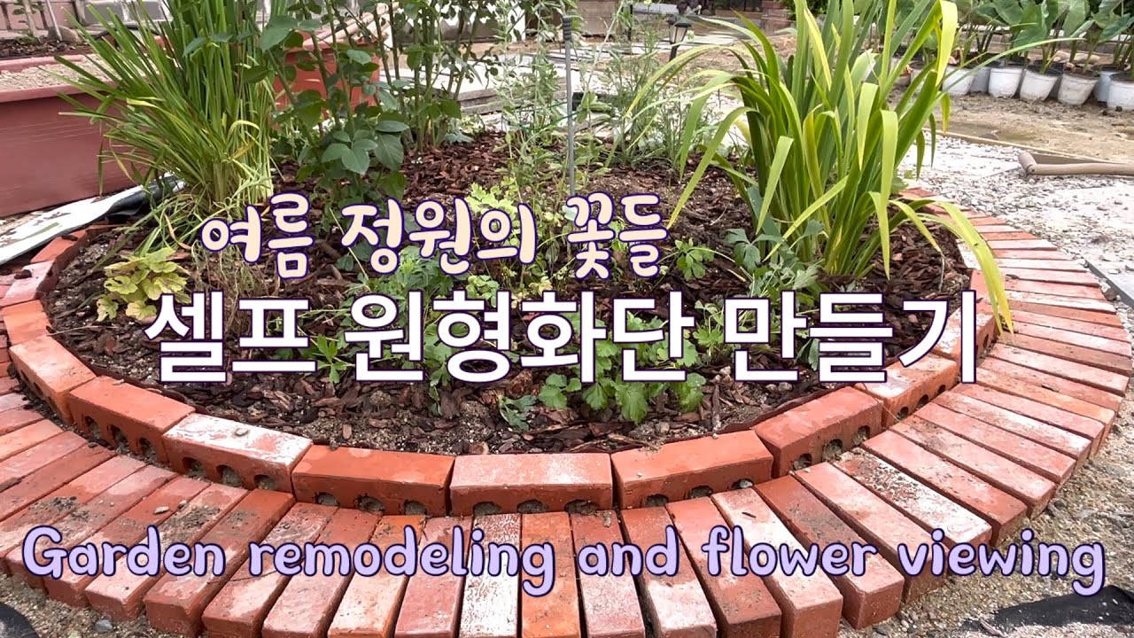 #42, 알콩달콩 셀프 정원공사 하기 / 돈 한푼 안들이고 화단 식물 조성하기 / 여름 정원의 꽃 /