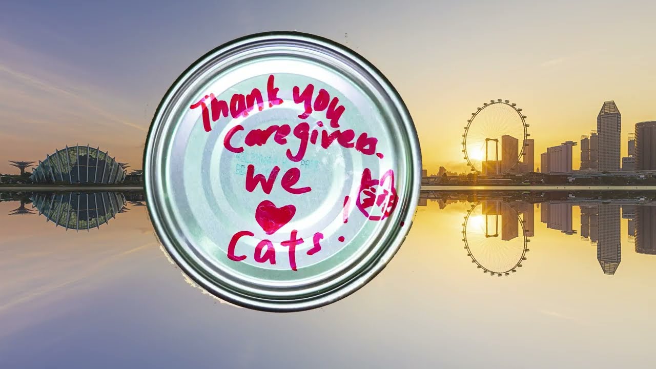 Gold-D Singapore Love Letters - Love and Support for FIV+ Cats