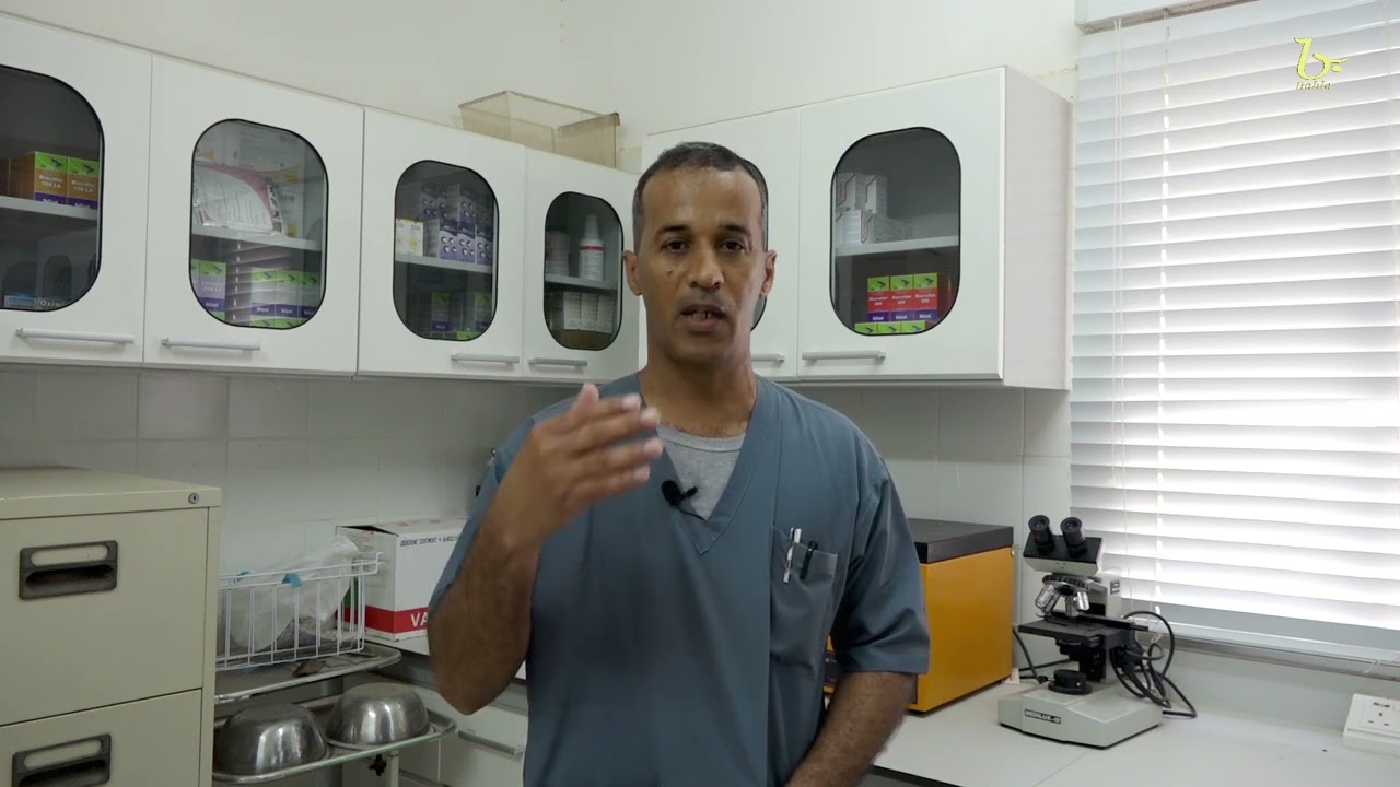 محطات الحلقة الثالثة ( دائرة البحوث الزراعية والحيوانية بمحافظة الداخلية ) الجزء الثالث