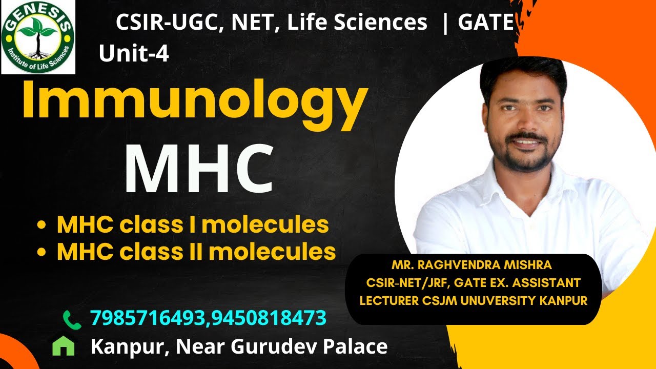 Major Histocompatibility Complex | MHC class I & class II molecules | Immunology#genesis_institute