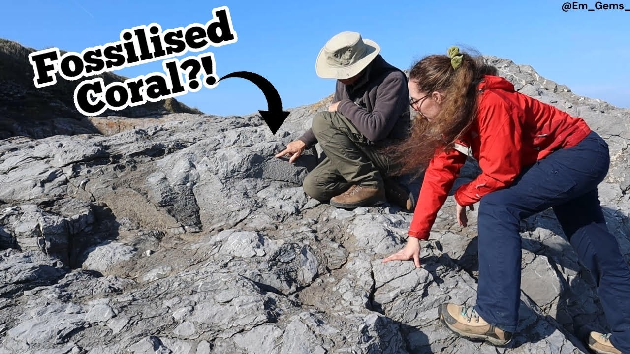 Fossilised Coral Reef Discovery | Ep 2 The English Riviera UNESCO Global Geopark Series