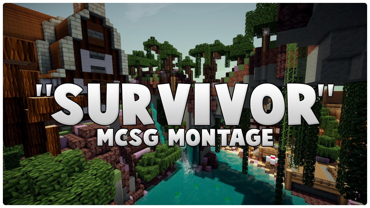 MCSG Montage | 