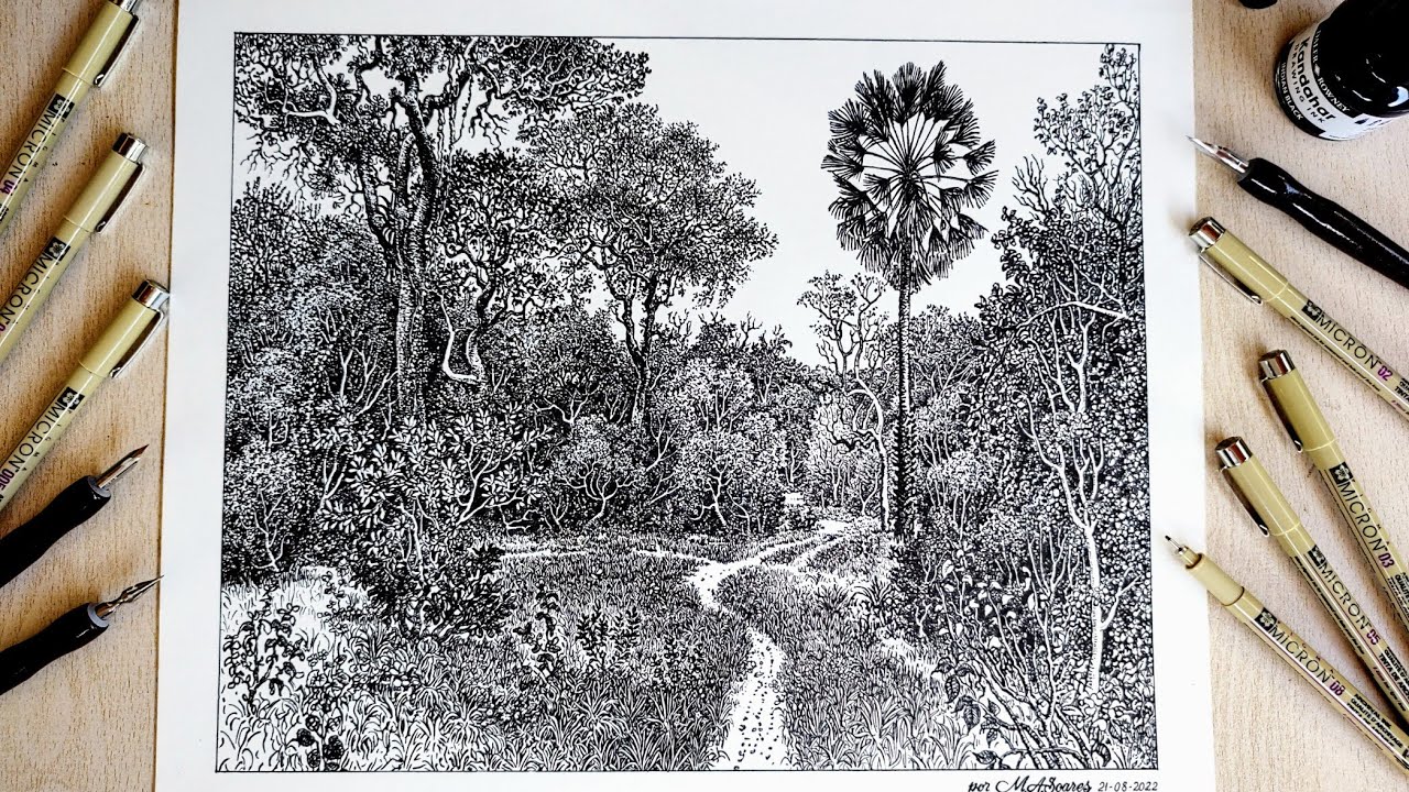 Caminho da Caatinga/ Ilustração Percy Lau/ Desenho a bico de pena e caneta nanquim.