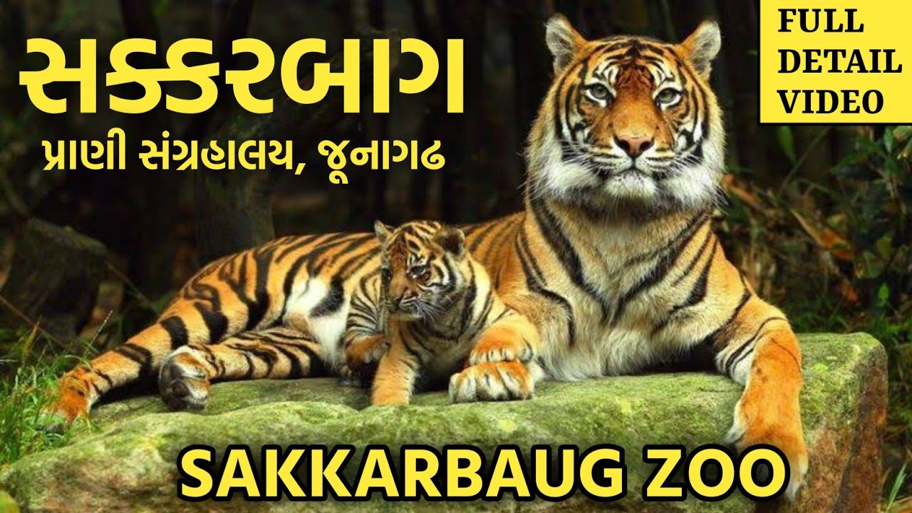 Sakkarbaug Zoo Junagadh Full Detail Tour 2025 | સક્કરબાગ પ્રાણી સંગ્રહાલય