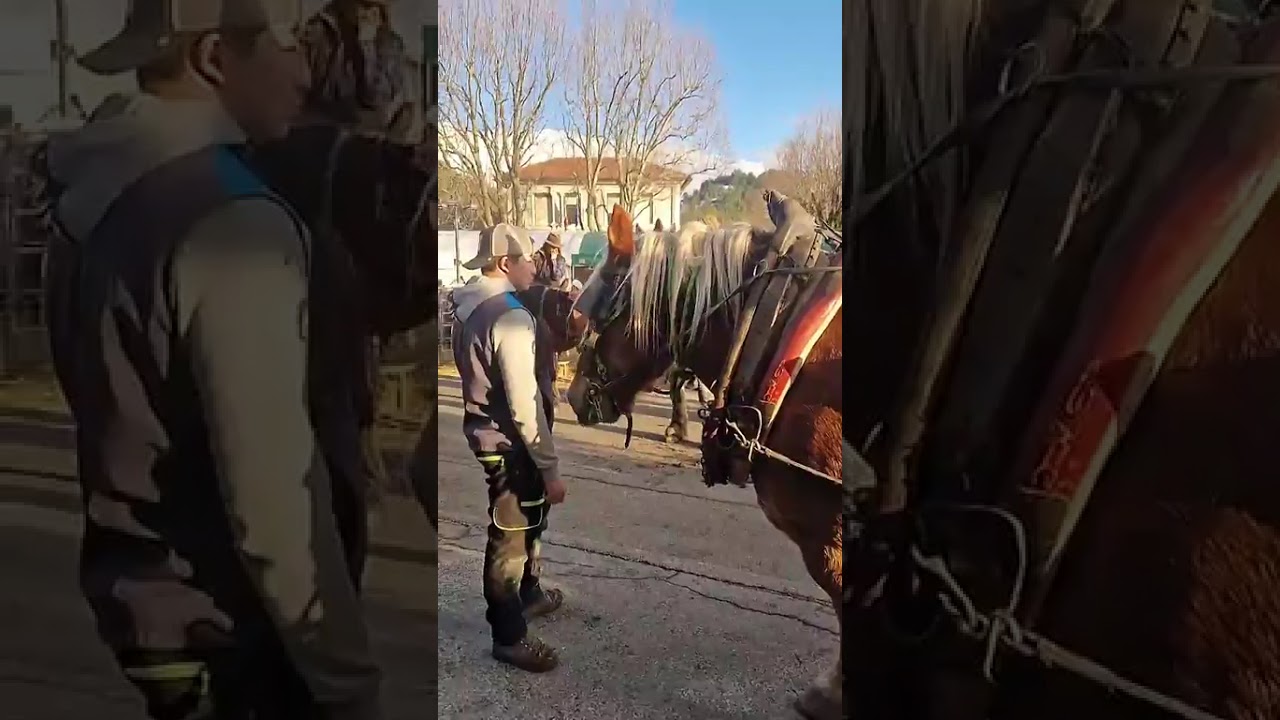 Processione e benedizione degli animali, festa di Sant'Antonio Abate a #Pescasseroli (AQ), 17/1/26