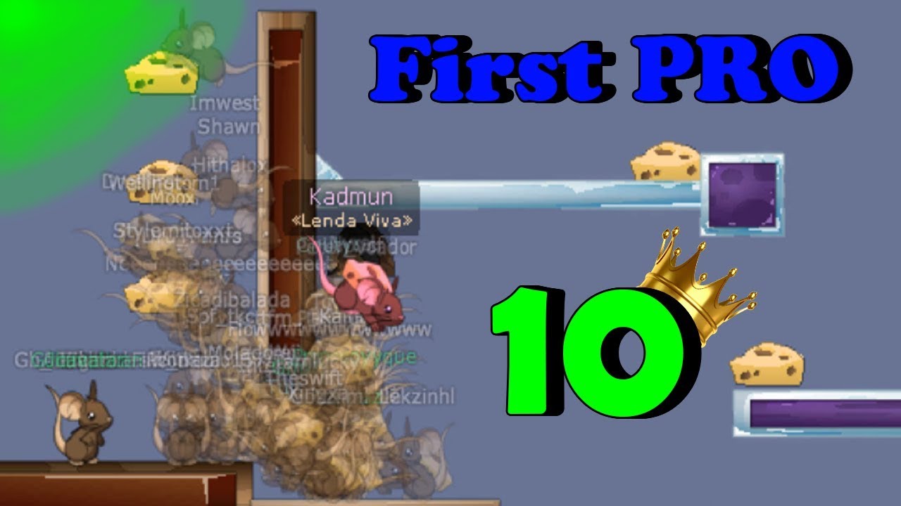 Transformice - First PRO Burlas Racing #10