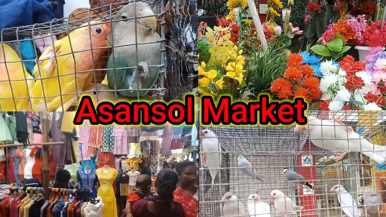 Asansol Market // Asansol Bazar // Aryan khan vlogs // Godda Jharkhand // Asansol