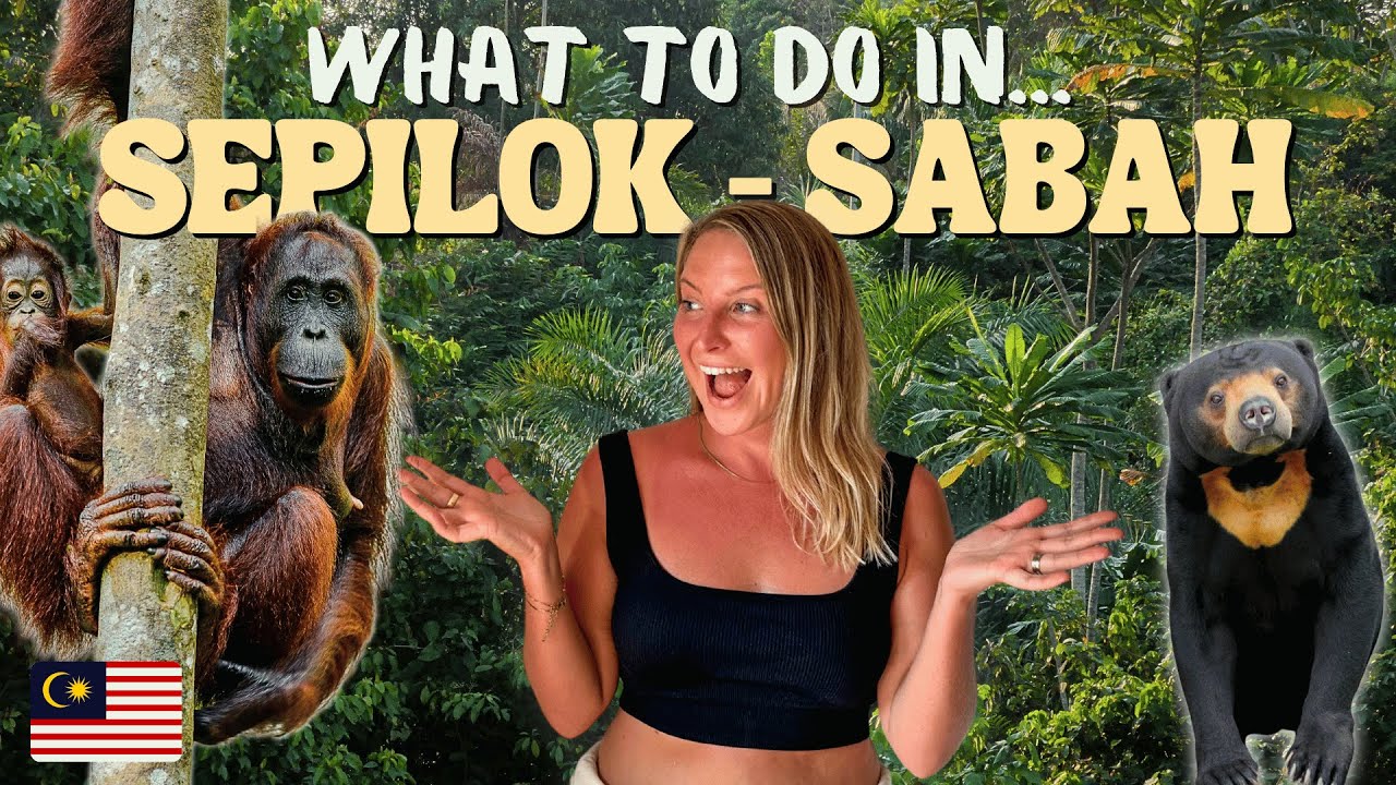 Malaysian Borneo First Impressions – Orangutans & Sun Bears