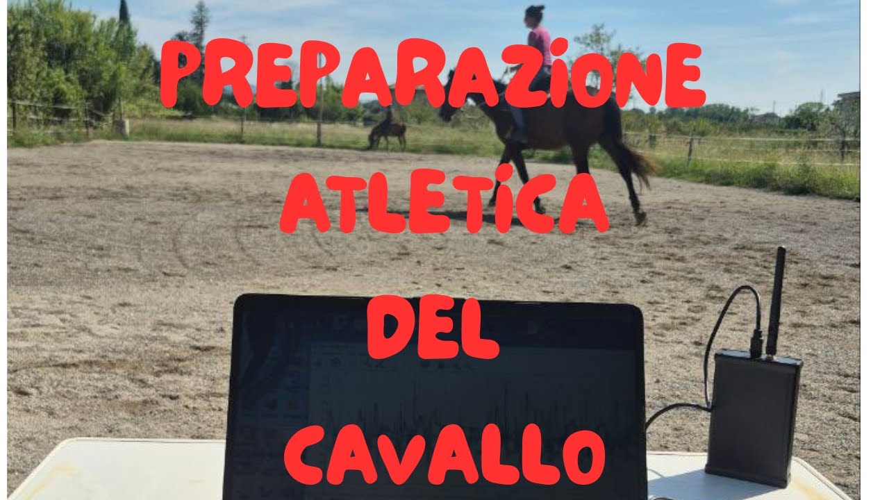 Preparazione Atletica del cavallo