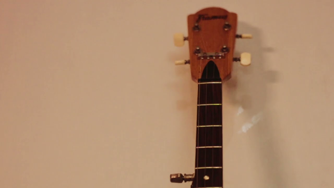 Framus Texan 5-string Banjo (part4)