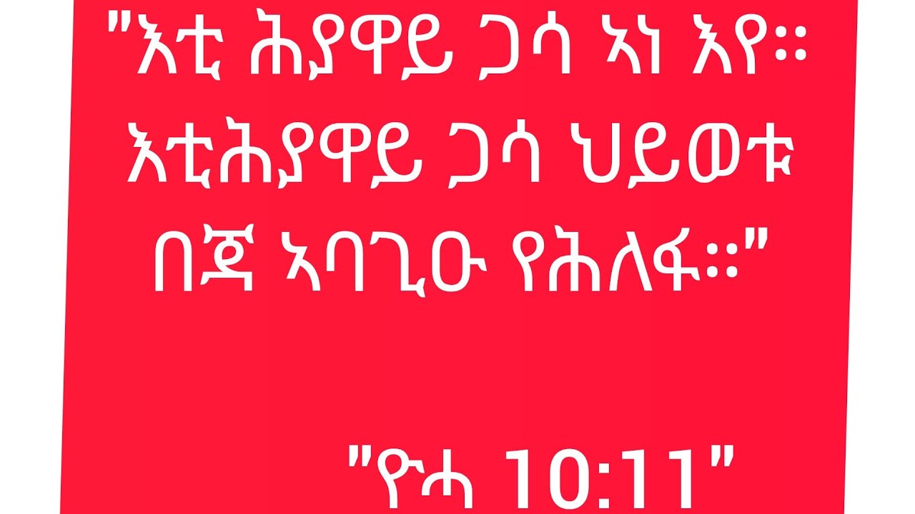 #እቲ ሕያዋይ# ጓሳ አነ እየ። እቲ#ሕያዋይ# ጓሳ# ህይወቱ# በጃ ኣባጊዑ የሕልፍዮሓ።