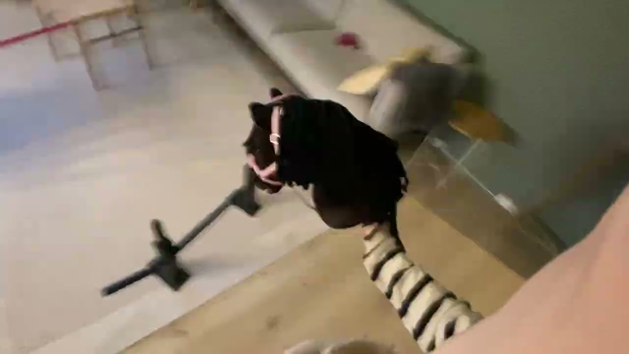 Hobby horse dears in 10 minutes ￼