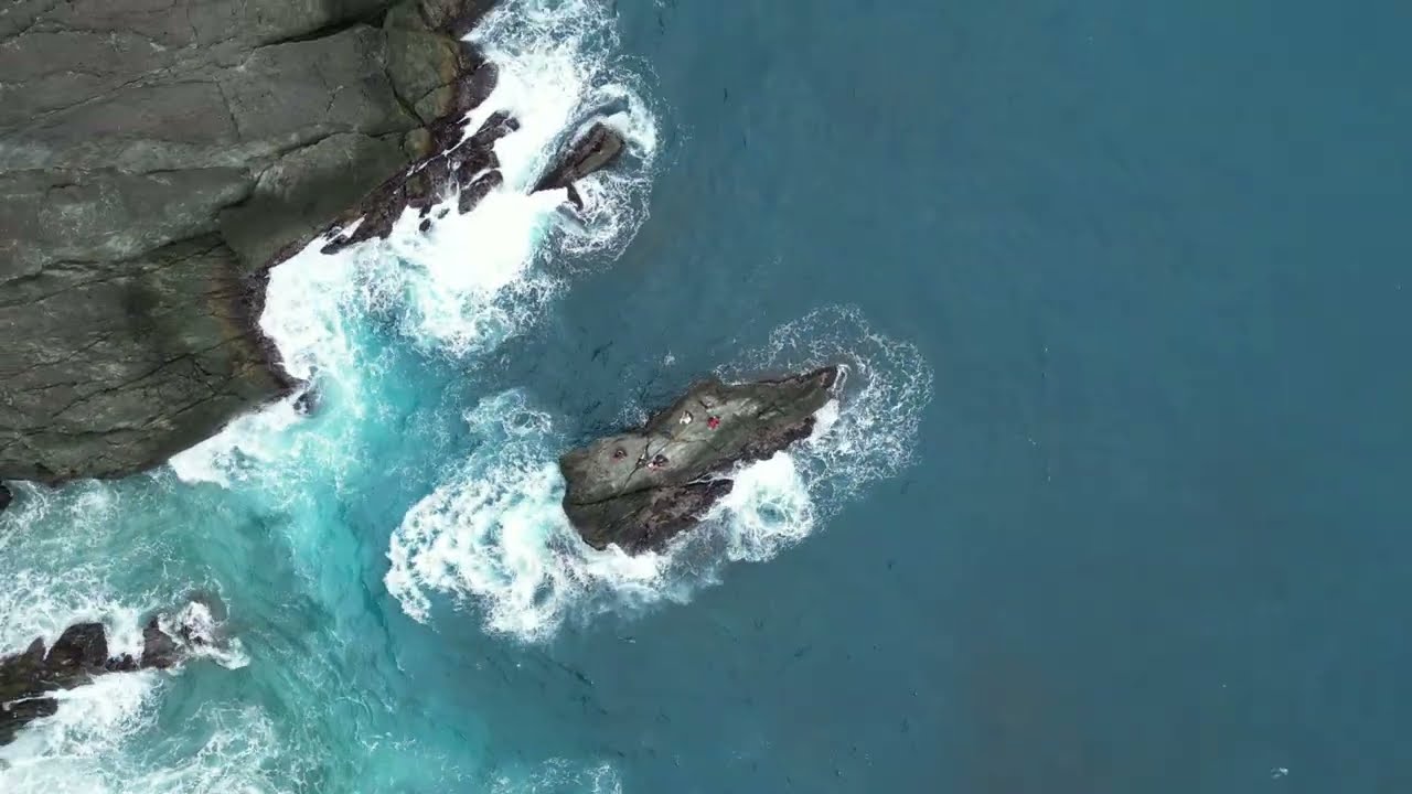 東澳粉鳥林 北面 蒼蒼 #磯釣 #mini3pro #臭肚 #倒吊魚 