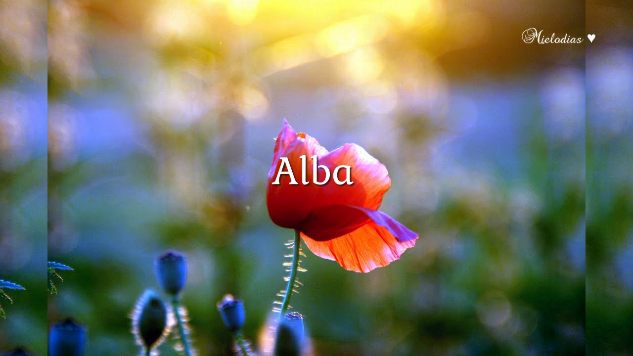 Base De Rap Romántico - Alba ♫ Instrumental Beat Triste