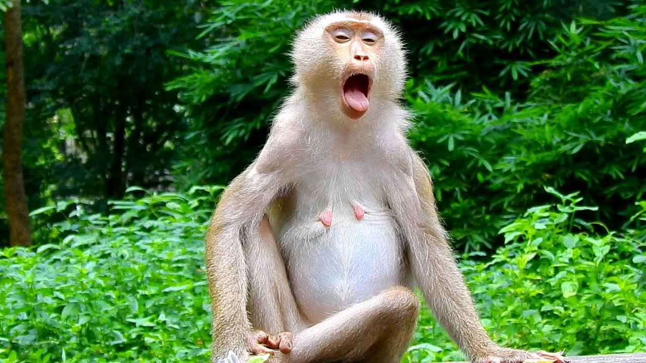 Billion pity big pregnancy Libby feeling so hurt to wait infant baby come out, Libby doing and..