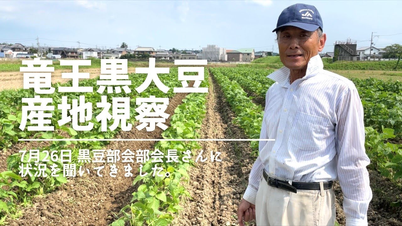 【こだわりの栽培】竜王丹波黒大豆  産地視察