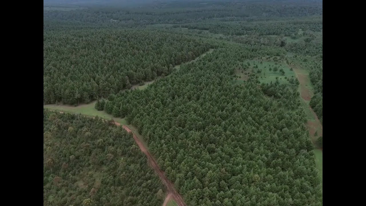 Gathiuru Community Forest Association