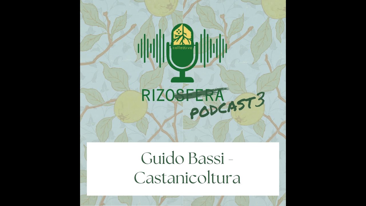 Ep. 25 Castanicoltura - Guido Bassi