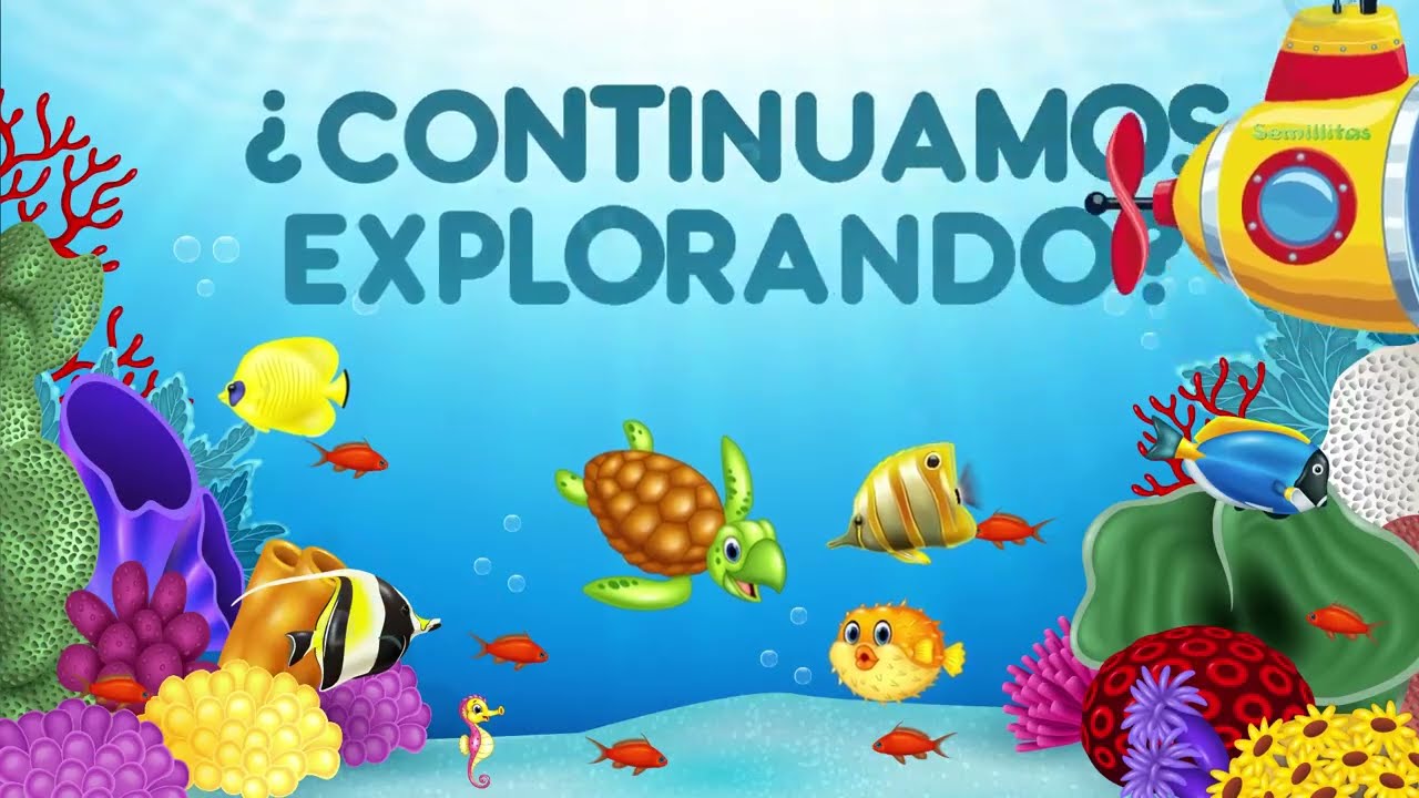 LOS OC&Eacute;ANOS DEL MUNDO: OC&Eacute;ANO &Iacute;NDICO