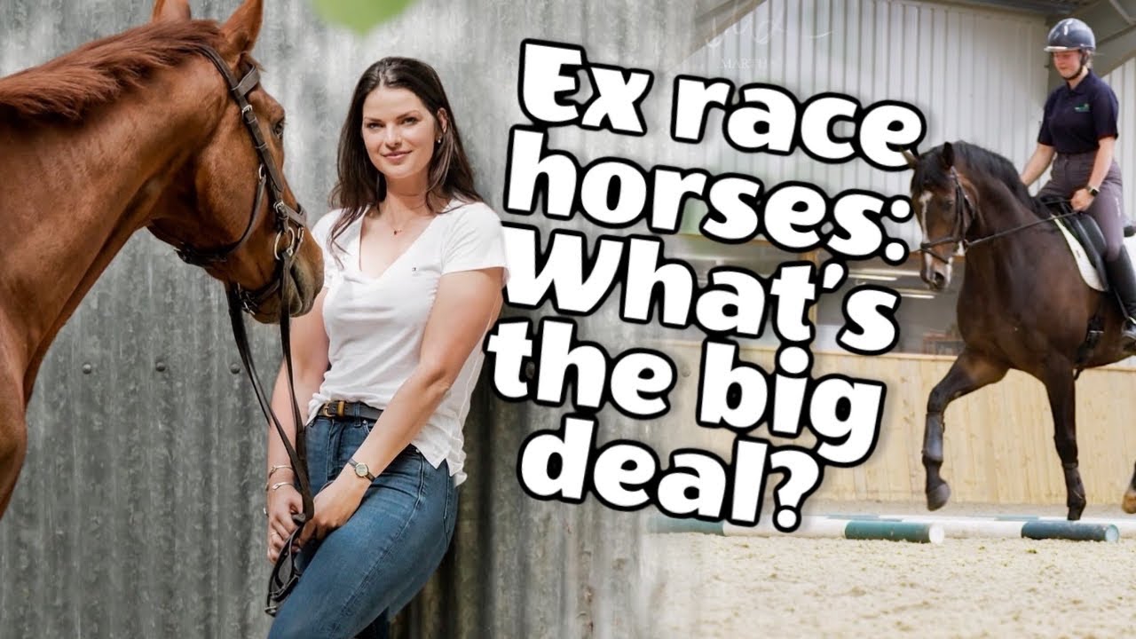 Why I Chose a Retired Racehorse Over an Event Horse | National Racehorse Week at Heros Charity