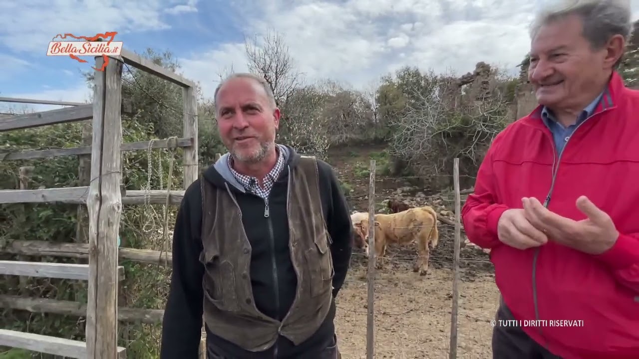 Gli antichi mestieri sono scomparsi, le parole del pastore in dialetto faranno riflettere