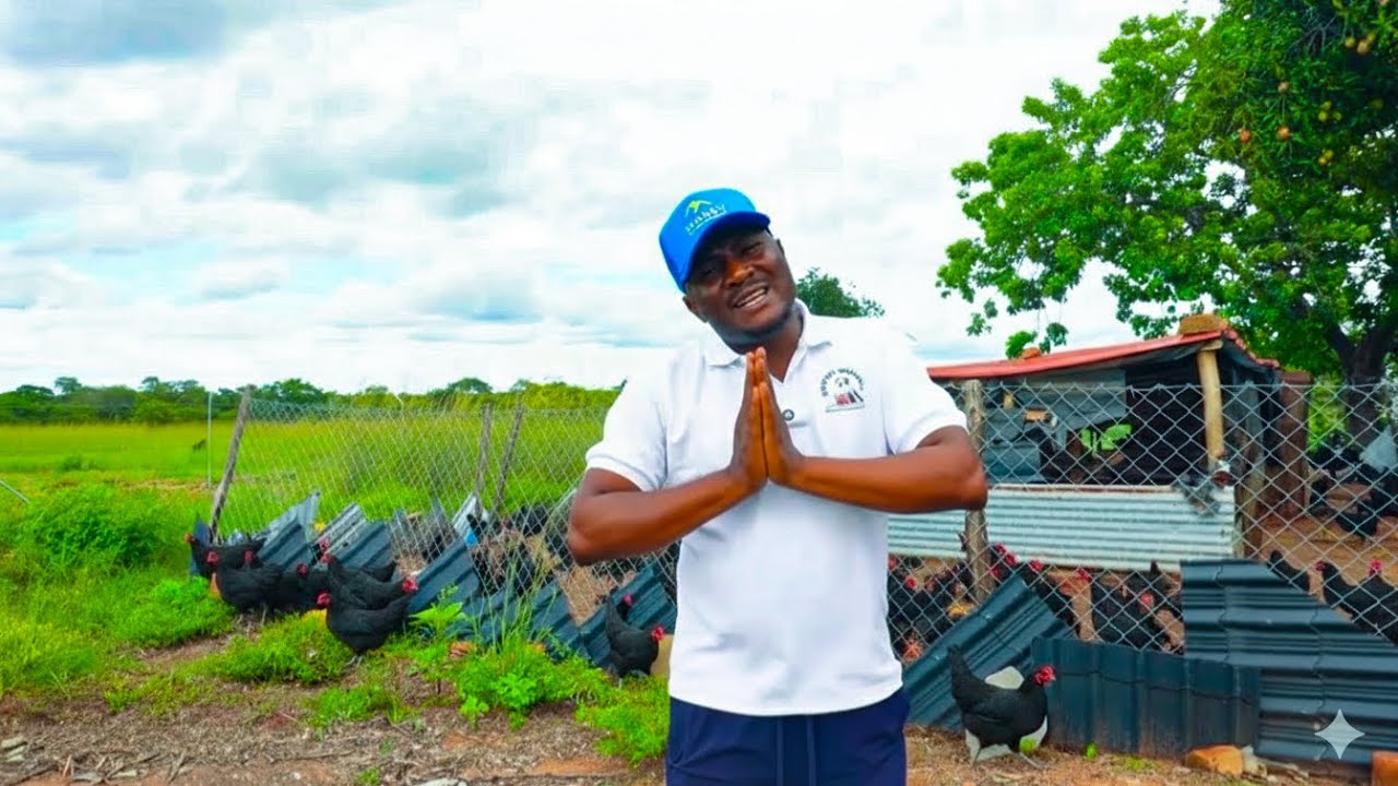 The Real Reason I Paused This Project at My Rural Home