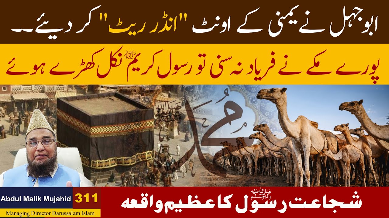 Abu Jehal Ne Yamni ke Unth Under Rate Kar Deye | Abdul Malik Mujahid | Story No 311
