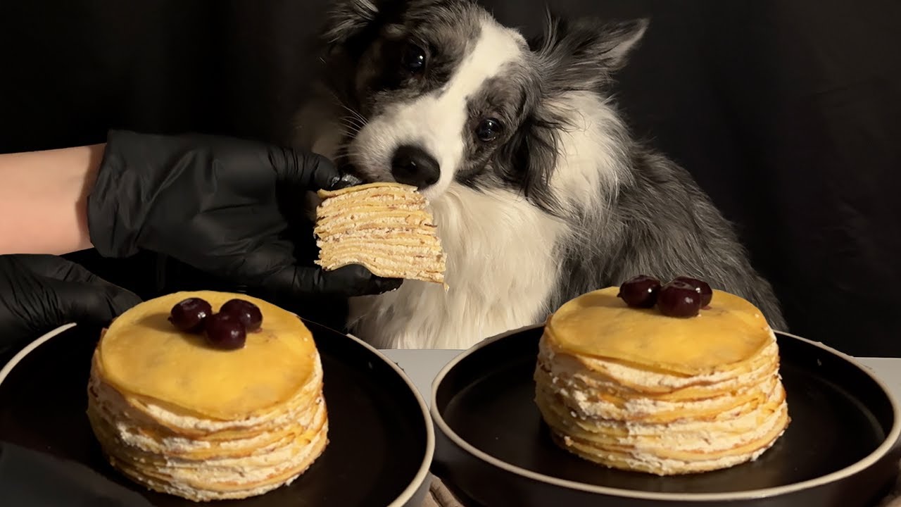 How to make Dog-Friendly Crepe Cake | Cute Mukbang + ASMR 🥞