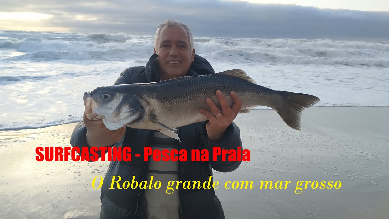Pesca de Robalo grande no Surfcasting